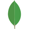 icons8-mongodb-96