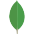 icons8-mongodb-96